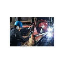 Bosch Winkelschleifer GWS 19-125 CIST Mit Staubschutzfilter