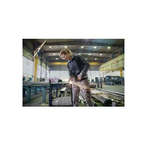 Bosch Winkelschleifer GWS 17-125 S INOX, Mit Zubehör 1 Bosch Winkelschleifer GWS 17-125 S INOX, Mit Zubehör